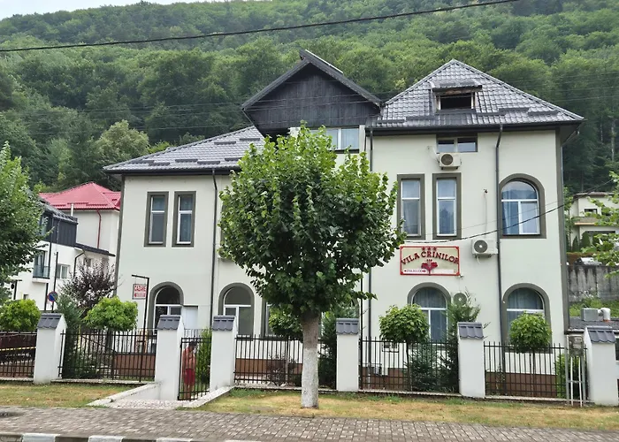 Vila Crinilor Călimăneşti